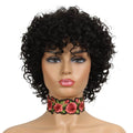 Joedir Short Curly Wigs Bouncy Hair Natural Wave Brazilian Hair PIXIE Cut Cheap Machine Made Human Hair Wig With Bangs for Black