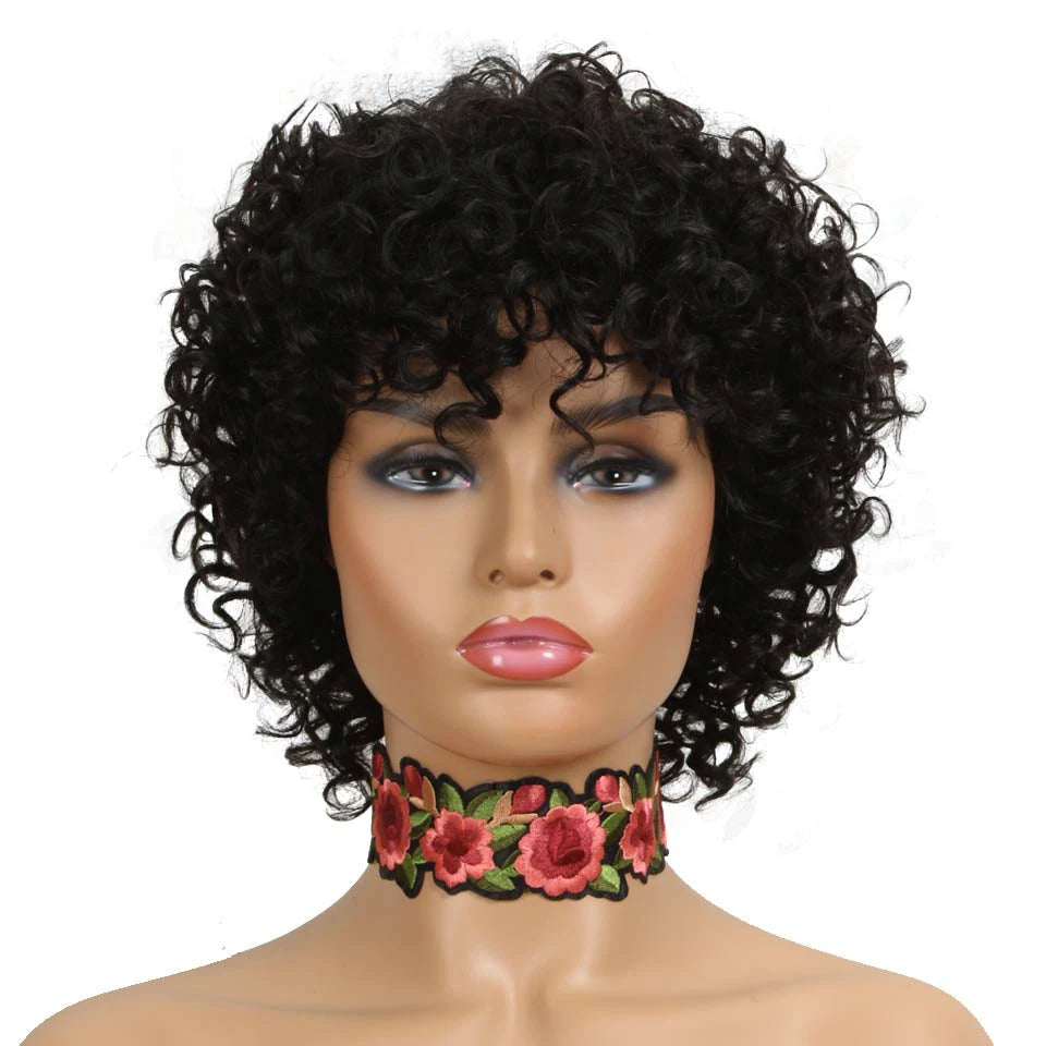 Joedir Short Curly Wigs Bouncy Hair Natural Wave Brazilian Hair PIXIE Cut Cheap Machine Made Human Hair Wig With Bangs for Black