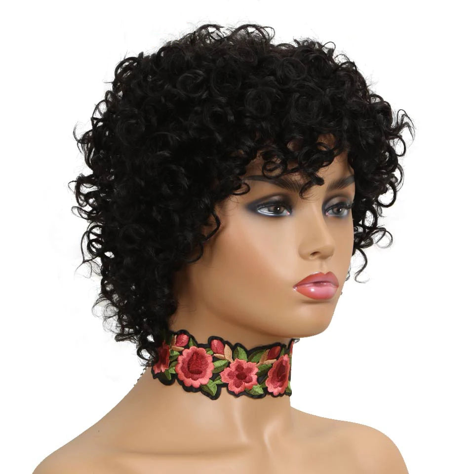 Joedir Short Curly Wigs Bouncy Hair Natural Wave Brazilian Hair PIXIE Cut Cheap Machine Made Human Hair Wig With Bangs for Black