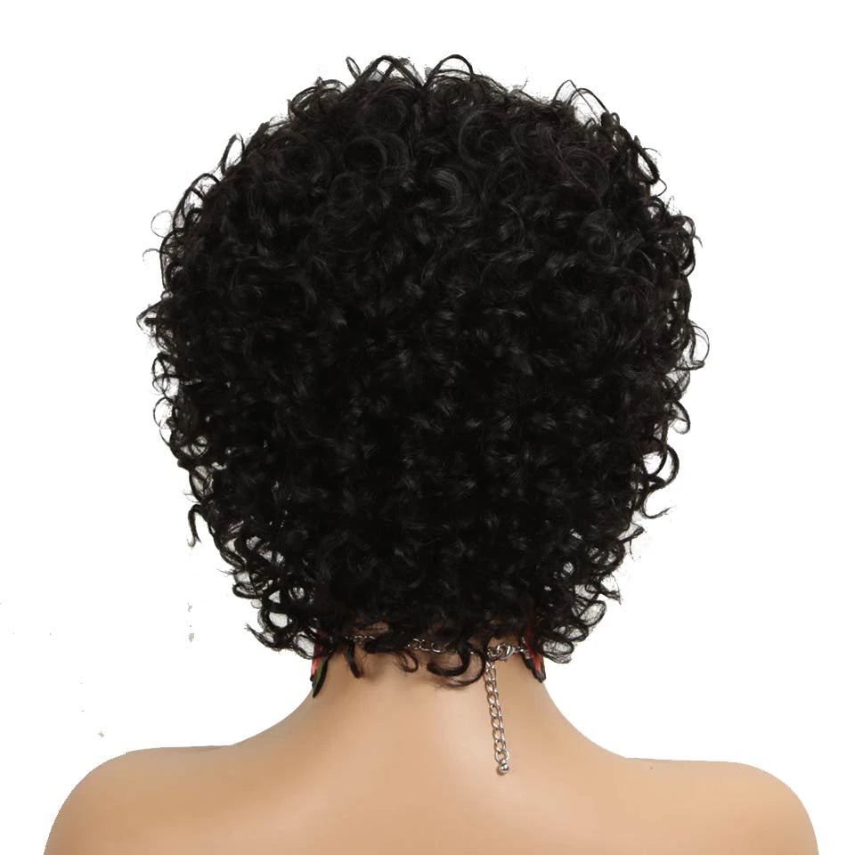 Joedir Short Curly Wigs Bouncy Hair Natural Wave Brazilian Hair PIXIE Cut Cheap Machine Made Human Hair Wig With Bangs for Black