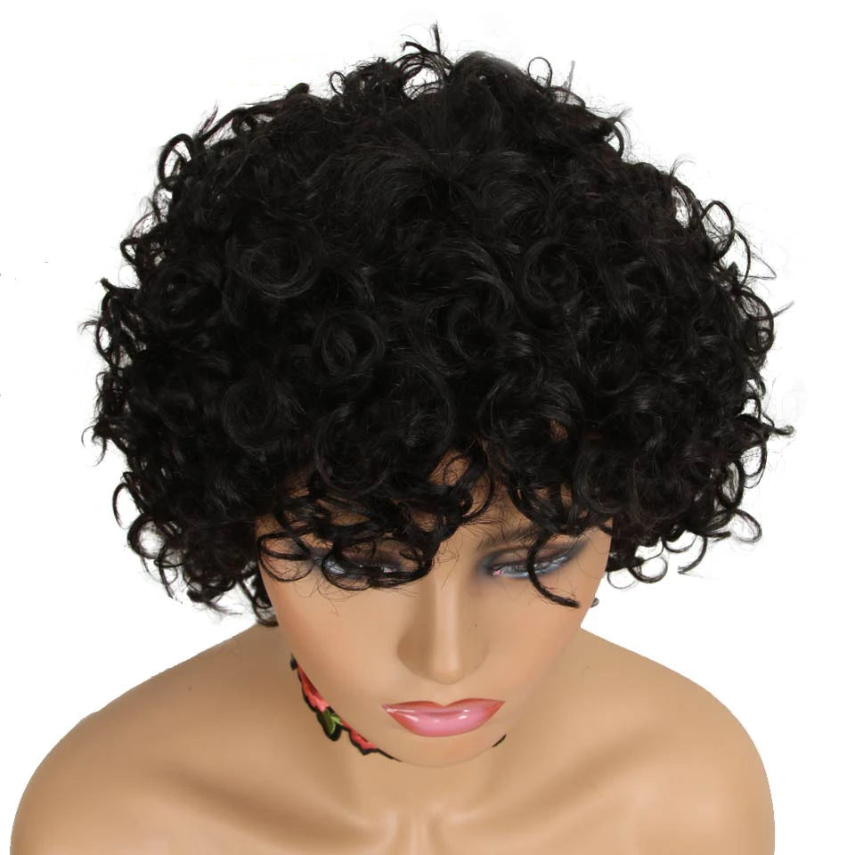 Joedir Short Curly Wigs Bouncy Hair Natural Wave Brazilian Hair PIXIE Cut Cheap Machine Made Human Hair Wig With Bangs for Black