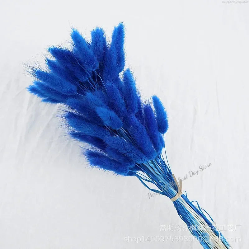 60pcs Nature Rabbit Tail Grass Dried Flower Bouquet Dog Tail Grass Dried Flower Immortal Flower Small Bouquet DIY Decoration
