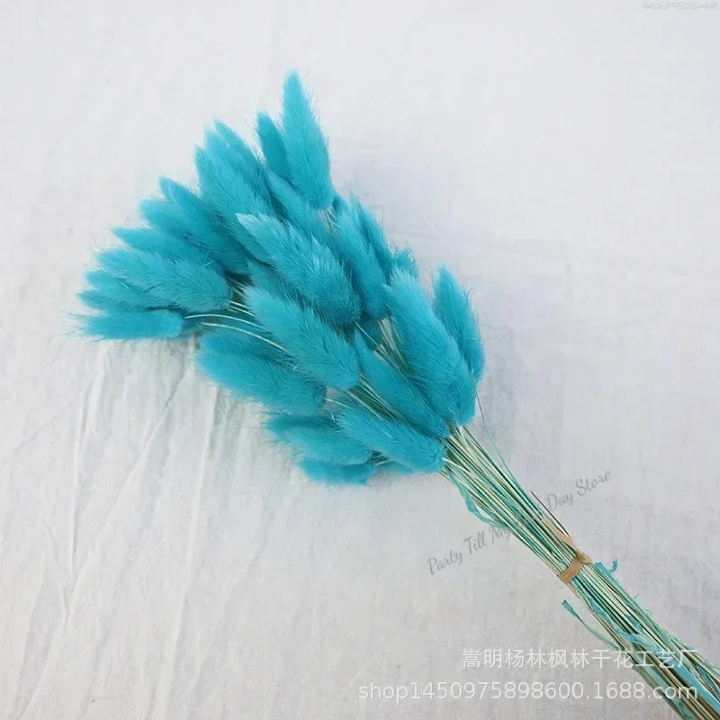 60pcs Nature Rabbit Tail Grass Dried Flower Bouquet Dog Tail Grass Dried Flower Immortal Flower Small Bouquet DIY Decoration