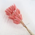 60pcs Nature Rabbit Tail Grass Dried Flower Bouquet Dog Tail Grass Dried Flower Immortal Flower Small Bouquet DIY Decoration