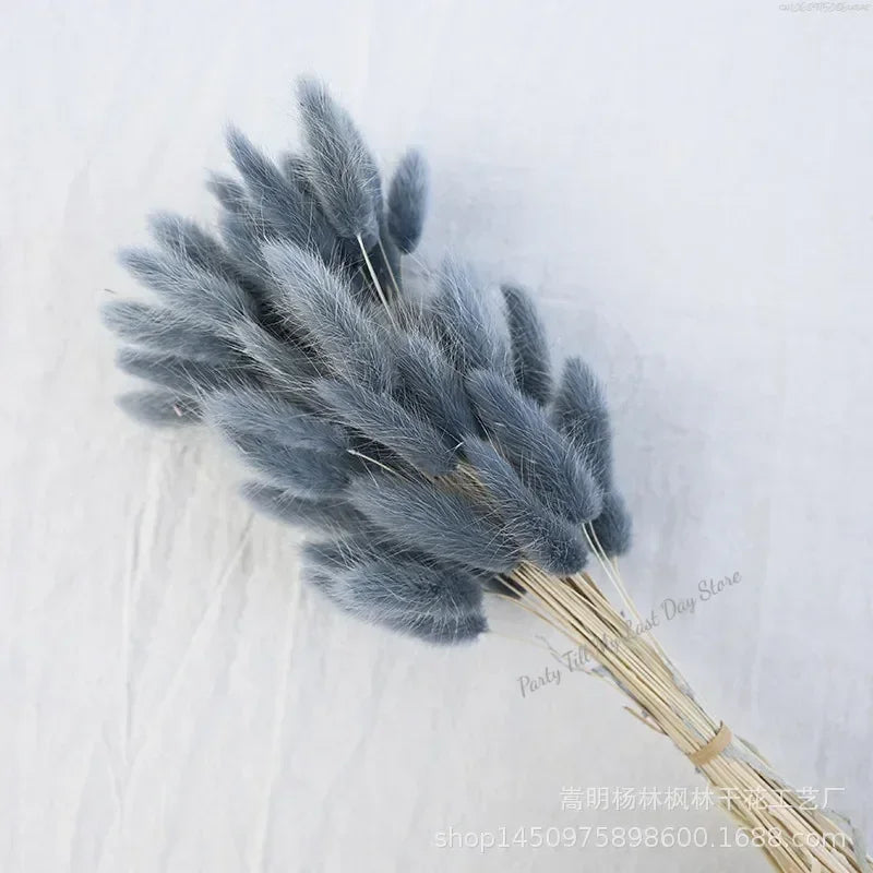 60pcs Nature Rabbit Tail Grass Dried Flower Bouquet Dog Tail Grass Dried Flower Immortal Flower Small Bouquet DIY Decoration