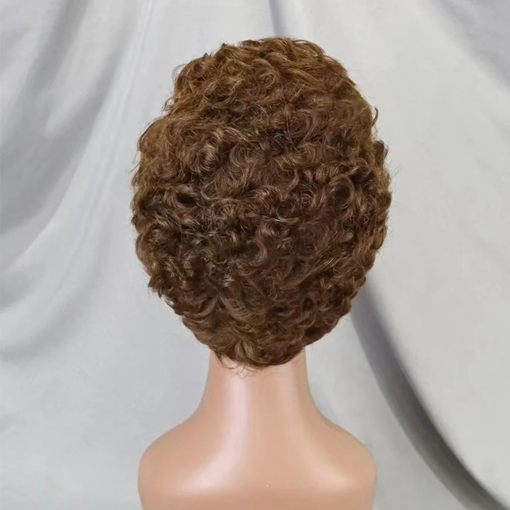 13x4 Lace Frontal Short Pixie Cut Curly Wave  Human Hair Wigs 180% Density 13x4 Lace Front Human Hair Wig for Black Women