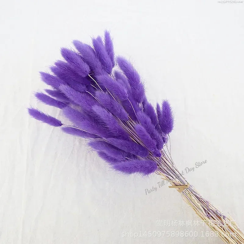 60pcs Nature Rabbit Tail Grass Dried Flower Bouquet Dog Tail Grass Dried Flower Immortal Flower Small Bouquet DIY Decoration