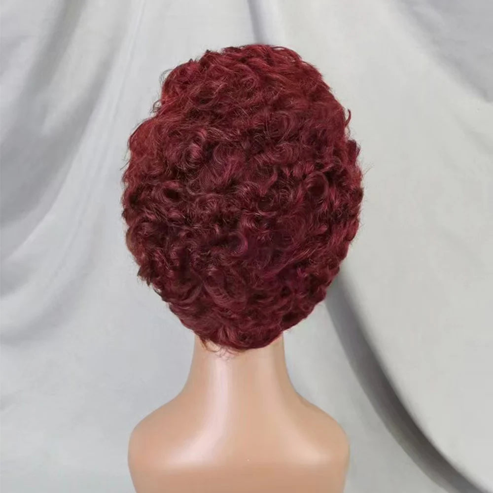 13x4 Lace Frontal Short Pixie Cut Curly Wave  Human Hair Wigs 180% Density 13x4 Lace Front Human Hair Wig for Black Women