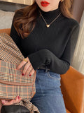 New Winter Turtleneck Sweater Knitwear Women Elegant Thicken Velvet Lined Warm Sweaters Knitted Pullover Slim Tops Jersey Jumper