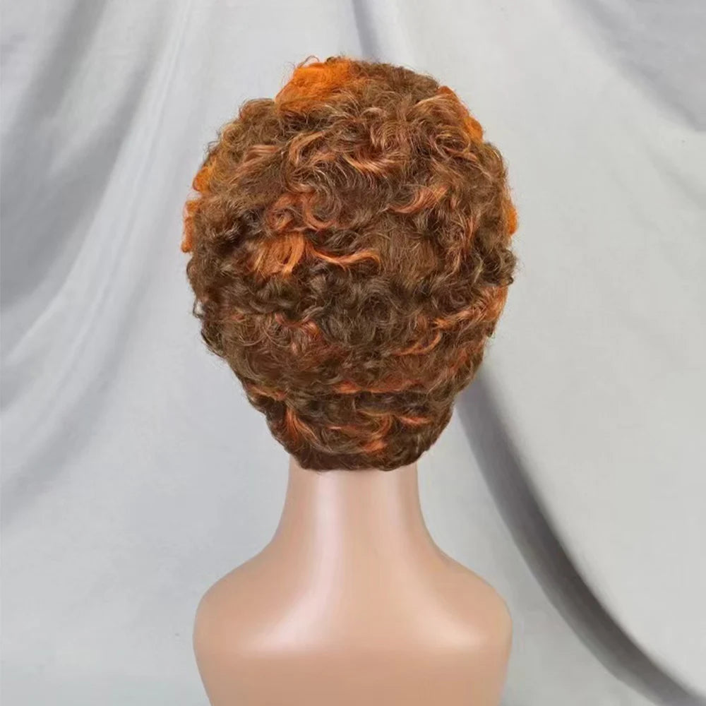 13x4 Lace Frontal Short Pixie Cut Curly Wave  Human Hair Wigs 180% Density 13x4 Lace Front Human Hair Wig for Black Women