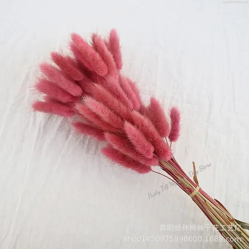 60pcs Nature Rabbit Tail Grass Dried Flower Bouquet Dog Tail Grass Dried Flower Immortal Flower Small Bouquet DIY Decoration