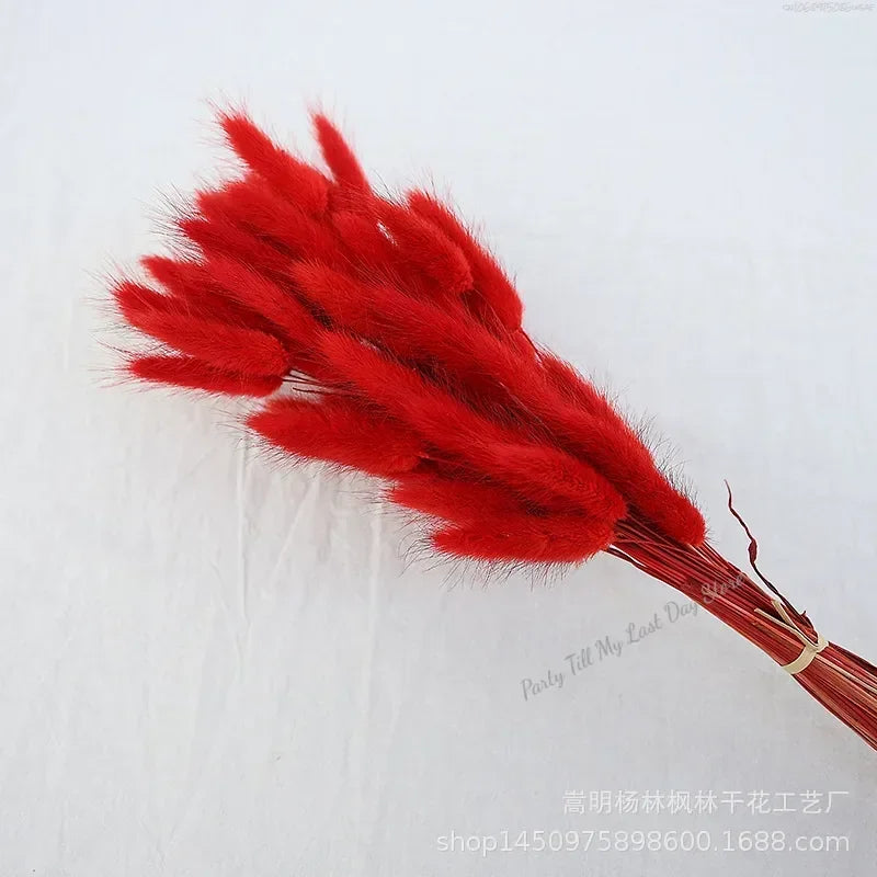 60pcs Nature Rabbit Tail Grass Dried Flower Bouquet Dog Tail Grass Dried Flower Immortal Flower Small Bouquet DIY Decoration