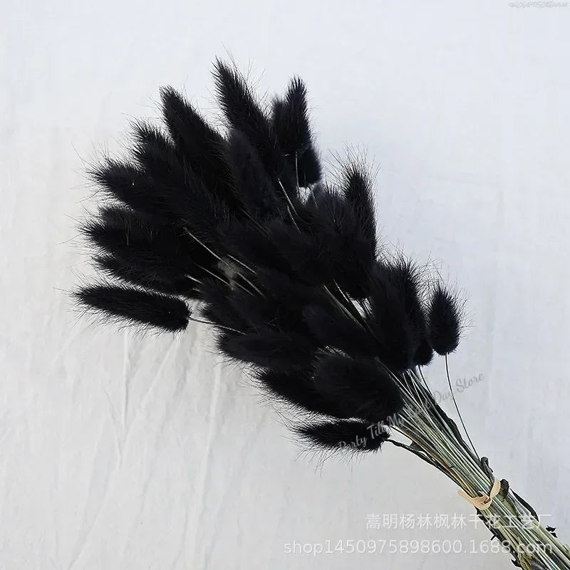 60pcs Nature Rabbit Tail Grass Dried Flower Bouquet Dog Tail Grass Dried Flower Immortal Flower Small Bouquet DIY Decoration