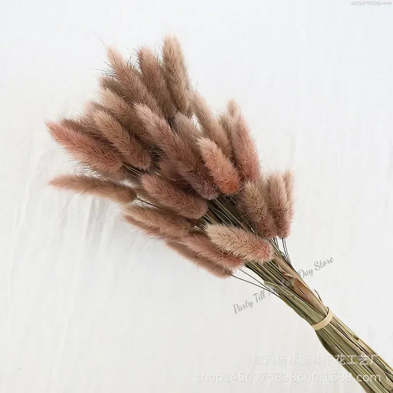 60pcs Nature Rabbit Tail Grass Dried Flower Bouquet Dog Tail Grass Dried Flower Immortal Flower Small Bouquet DIY Decoration
