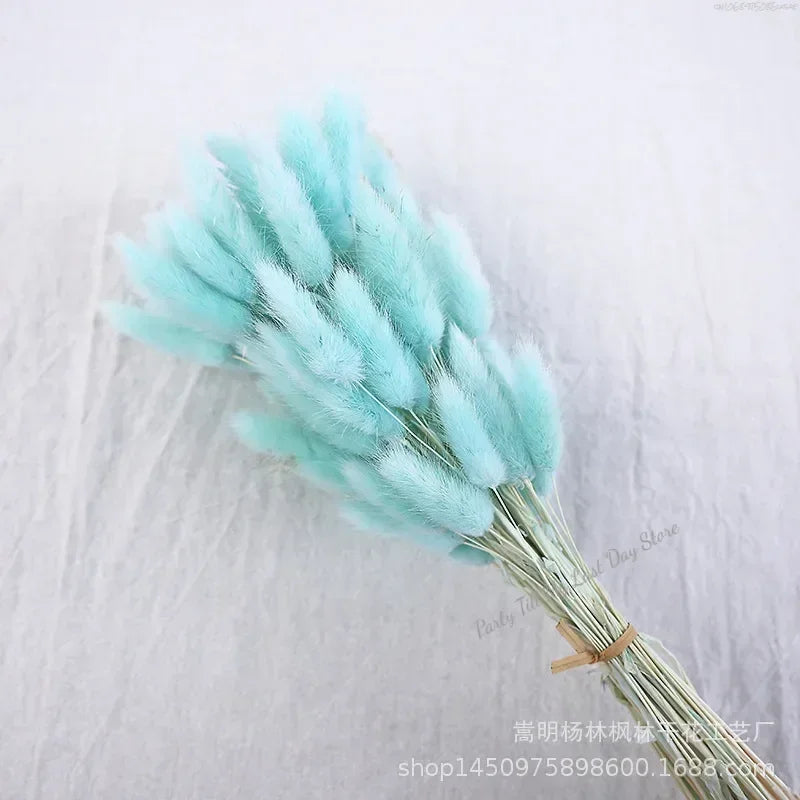 60pcs Nature Rabbit Tail Grass Dried Flower Bouquet Dog Tail Grass Dried Flower Immortal Flower Small Bouquet DIY Decoration