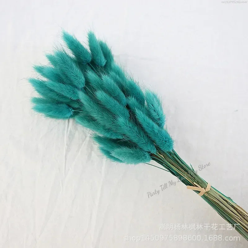 60pcs Nature Rabbit Tail Grass Dried Flower Bouquet Dog Tail Grass Dried Flower Immortal Flower Small Bouquet DIY Decoration