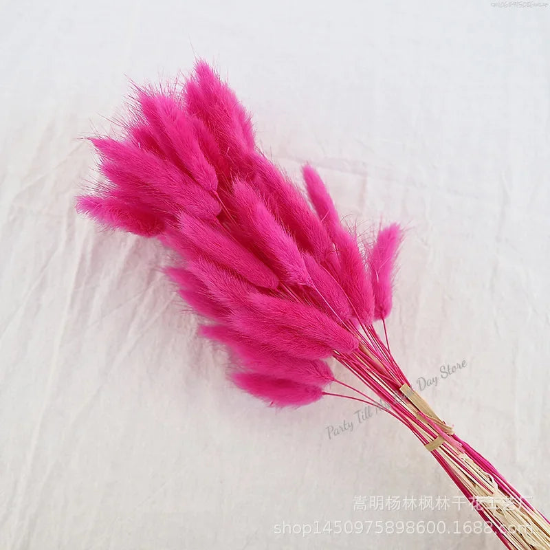 60pcs Nature Rabbit Tail Grass Dried Flower Bouquet Dog Tail Grass Dried Flower Immortal Flower Small Bouquet DIY Decoration