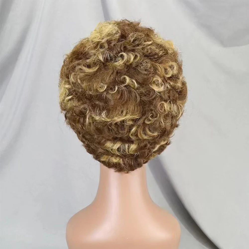 13x4 Lace Frontal Short Pixie Cut Curly Wave  Human Hair Wigs 180% Density 13x4 Lace Front Human Hair Wig for Black Women