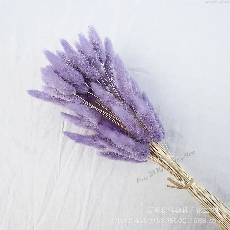 60pcs Nature Rabbit Tail Grass Dried Flower Bouquet Dog Tail Grass Dried Flower Immortal Flower Small Bouquet DIY Decoration